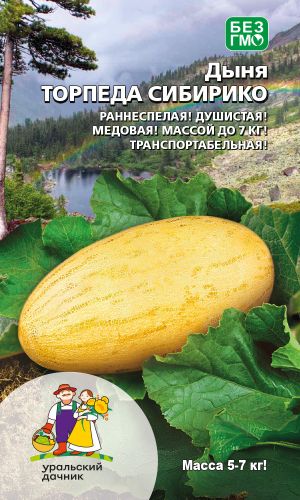 Дыня ТОРПЕДА СИБИРИКО