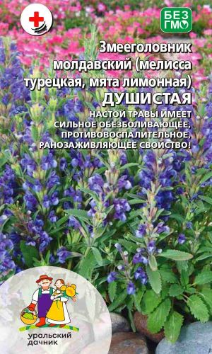 Мята лимонная ДУШИСТАЯ — Настой имеет сильное обезболивающее, противовоспалительное и ранозаживляющее свойство!