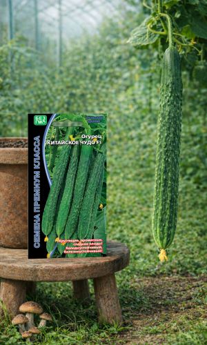 Огурец КИТАЙСКОЕ ЧУДО F1