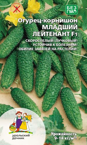 Огурец МЛАДШИЙ ЛЕЙТЕНАНТ F1 — Скороспелый! Пучковый! Устойчив к болезням! Обилие завязей на растении!