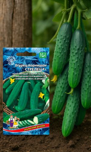 Огурец СТРЕЛЕЦ F1