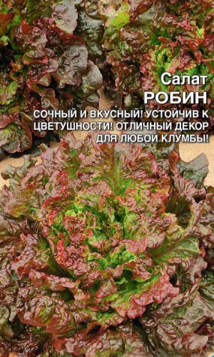 Салат РОБИН — Сочный и вкусный! Устойчив к цветушности! Отличный декор для любой клумбы!