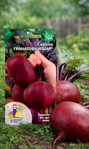 Свёкла ГРАНАТОВЫЙ ШАР