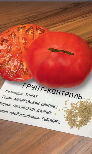 Томат АНДРЕЕВСКИЙ СЮРПРИЗ — Сибирская селекция! Массой до 900 г! Устойчив к фитофторе! Один из самых вкусных!