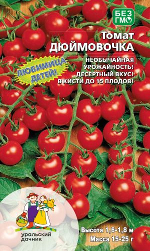 Томат ДЮЙМОВОЧКА — В кисти до 15 плодов!