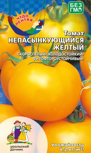 Томат НЕПАСЫНКУЮЩИЙСЯ ЖЁЛТЫЙ — Скороспелый! Не боится ни похолоданий, ни фитофторы, а главное прост в уходе и не пасынкуется!