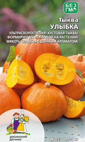 Тыква УЛЫБКА